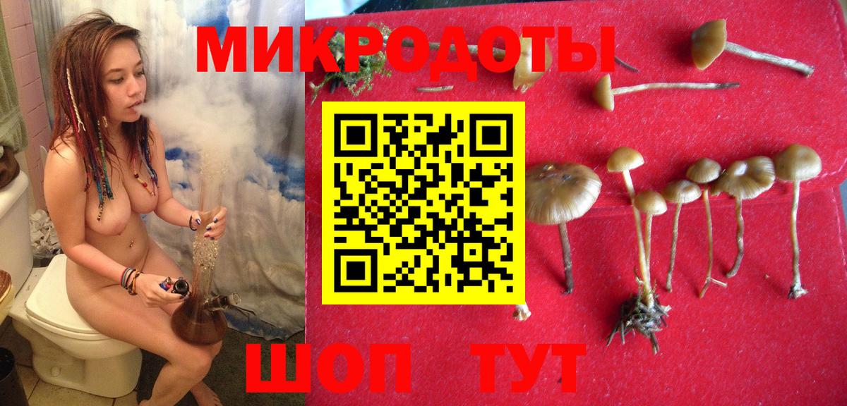 Псилоцибиновые грибы прущие грибы Ефремов